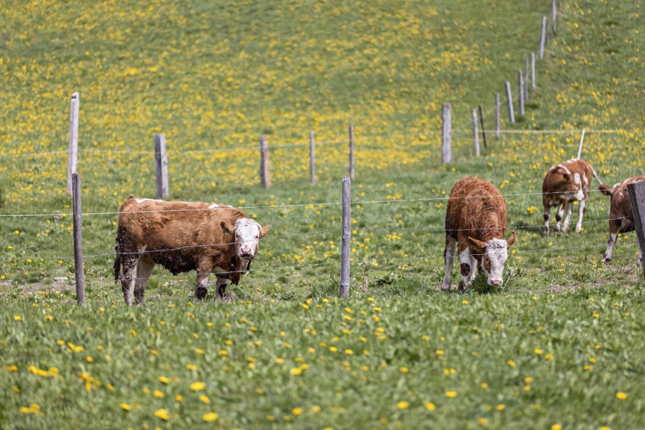 Ferienwohnung Gitschbergblick Terento Exteriér fotografie